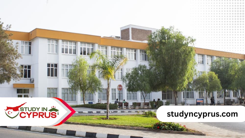 افضل الجامعات في قبرص التركية 
