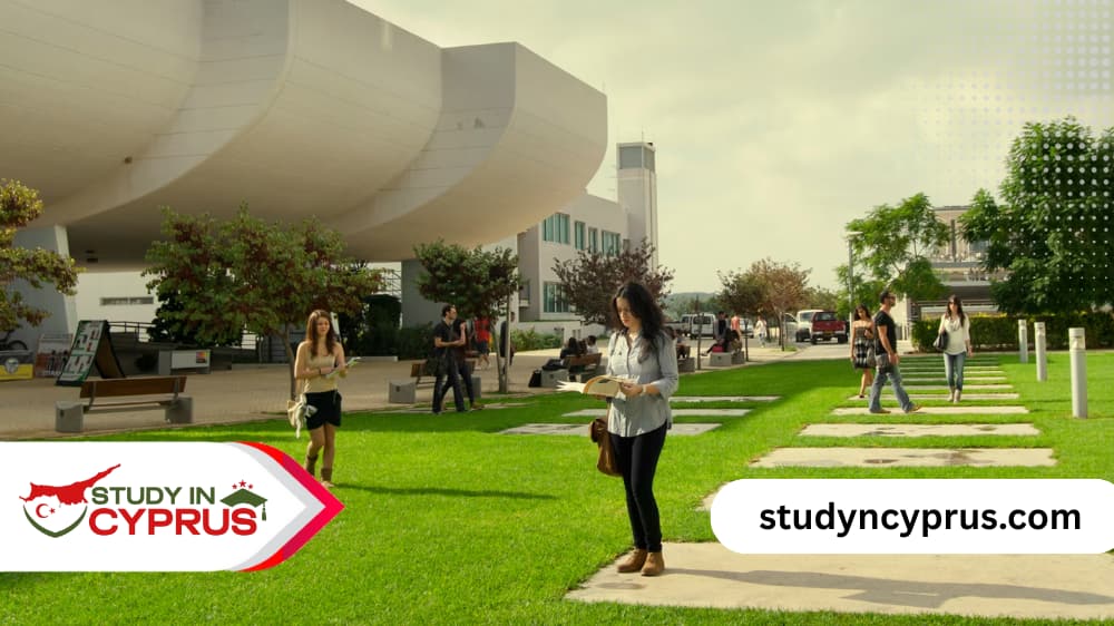 آفاق العمل بعد التخرج من جامعات قبرص التركية 