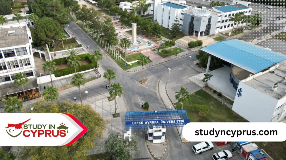 التخصصات المتاحة في جامعات قبرص التركية 